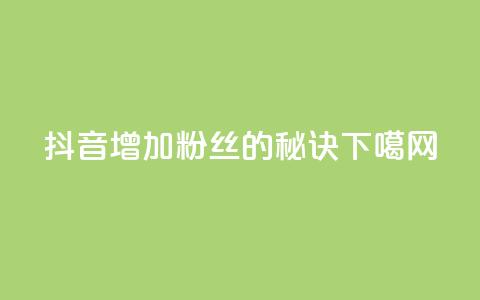 抖音增加粉丝的秘诀 第1张 抖音增加粉丝的秘诀 第1张