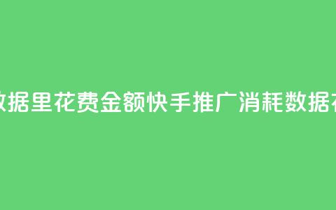 快手推广消耗数据里花费金额(快手推广消耗数据:花费金额大揭秘) 第1张 快手推广消耗数据里花费金额(快手推广消耗数据:花费金额大揭秘) 第1张
