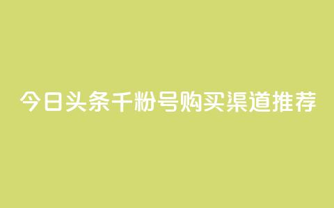 今日头条千粉号购买渠道推荐 第1张 今日头条千粉号购买渠道推荐 第1张