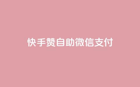 快手赞自助微信支付 - 快手赞微信支付自助操作指南! 第1张 快手赞自助微信支付 - 快手赞微信支付自助操作指南! 第1张