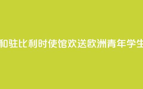 中国驻欧盟使团和驻比利时使馆“欢送”欧洲青年学生赴华留学 第1张 中国驻欧盟使团和驻比利时使馆“欢送”欧洲青年学生赴华留学 第1张