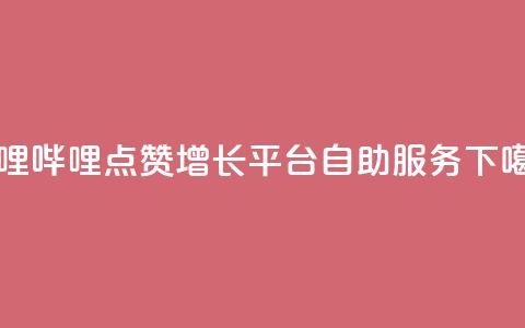 哔哩哔哩点赞增长平台自助服务 第1张 哔哩哔哩点赞增长平台自助服务 第1张