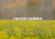 中国全景相机在美国被抢购 