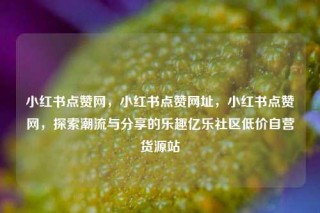 小红书点赞网，小红书点赞网址，小红书点赞网，探索潮流与分享的乐趣亿乐社区低价自营货源站