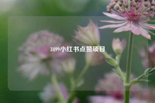 3499小红书点赞项目