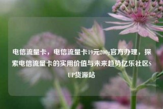 电信流量卡，电信流量卡19元200g官方办理，探索电信流量卡的实用价值与未来趋势亿乐社区SUP货源站