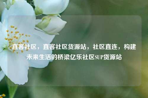 直客社区	，直客社区货源站，社区直连，构建未来生活的桥梁亿乐社区SUP货源站  第1张