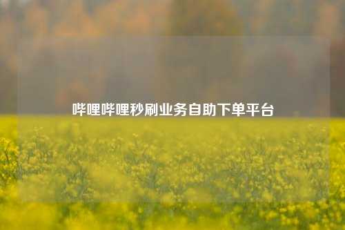 哔哩哔哩秒刷业务自助下单平台  第1张