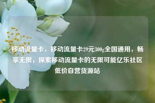 移动流量卡，移动流量卡29元300g全国通用，畅享无限，探索移动流量卡的无限可能亿乐社区低价自营货源站  第1张
