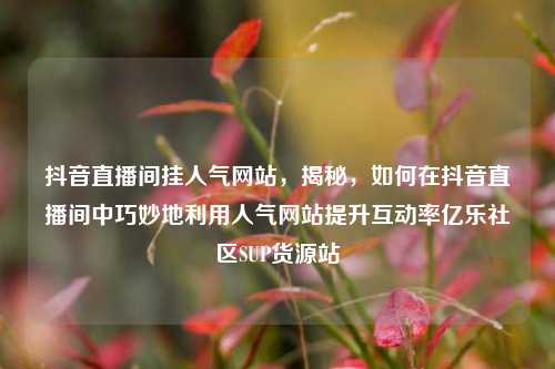 抖音直播间挂人气网站，揭秘，如何在抖音直播间中巧妙地利用人气网站提升互动率亿乐社区SUP货源站  第1张