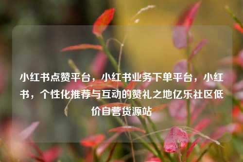 小红书点赞平台，小红书业务下单平台	，小红书，个性化推荐与互动的赞礼之地亿乐社区低价自营货源站  第1张