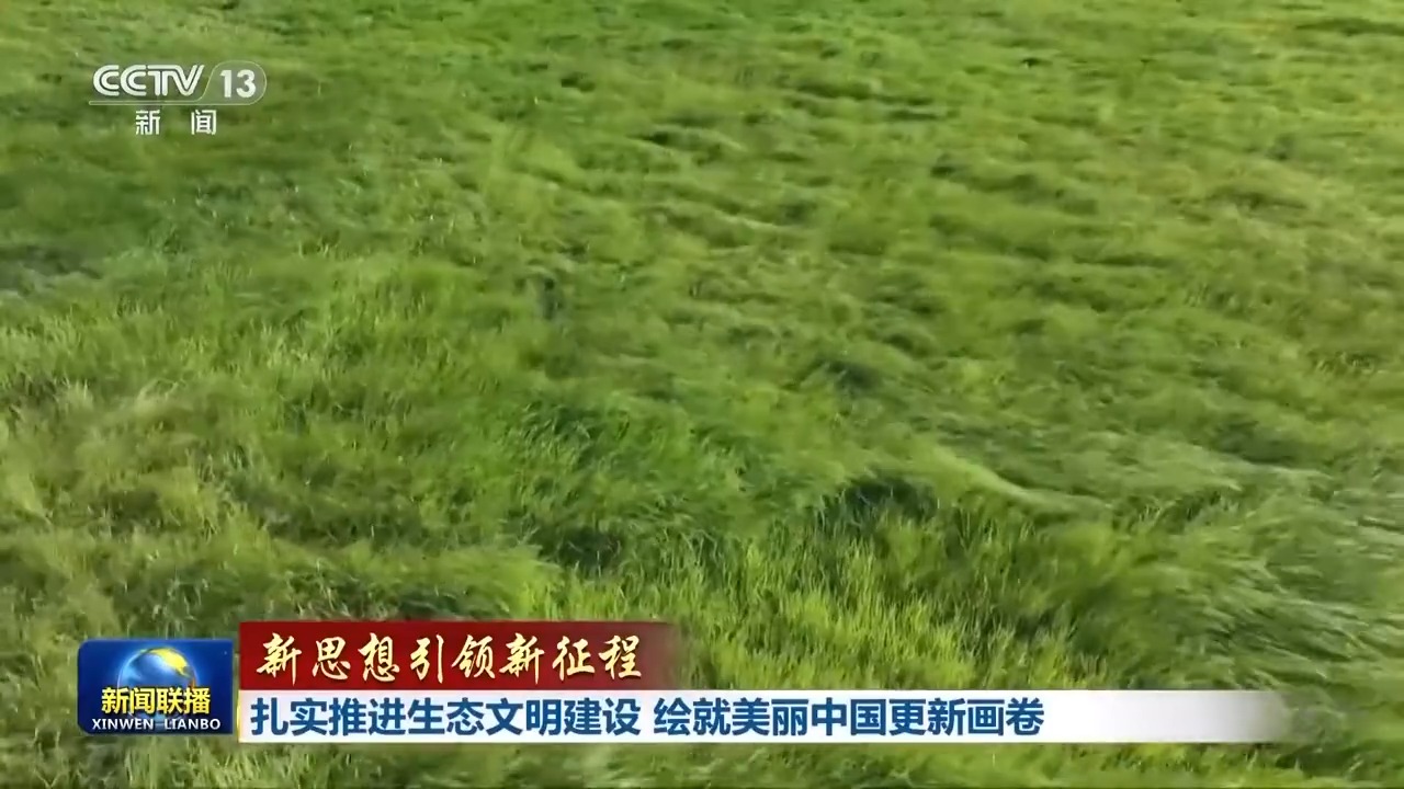 新思想引领新征程丨扎实推进生态文明建设 绘就美丽中国更新画卷  第7张