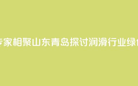 业界专家相聚山东青岛探讨润滑行业绿色发展 第1张 业界专家相聚山东青岛探讨润滑行业绿色发展 第1张