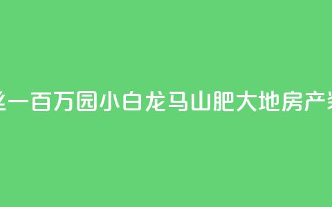 快手粉丝一百万0.01园小白龙马山肥大地房产装修网站,QQ红钻卡盟 - qq业务自助 子潇网络平台是合法吗  第1张