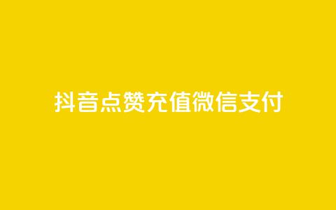 抖音点赞充值微信支付 - 抖音点赞充值支持微信支付全攻略。  第1张