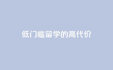 “低门槛”留学的“高代价”  第1张