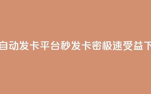 24小时自动发卡平台，秒发卡密，极速受益  第1张