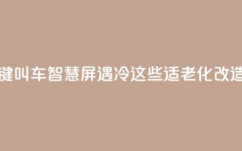 上海部分“一键叫车”智慧屏遇冷?这些适老化改造问题待优化 第1张 上海部分“一键叫车”智慧屏遇冷?这些适老化改造问题待优化 第1张