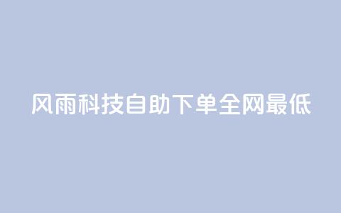 风雨科技自助下单全网最低 - 风雨科技自助下单，价格最低，全网首选!  第1张