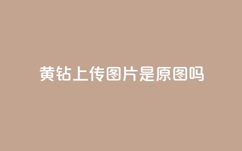 qq黄钻上传图片是原图吗,空间秒赞怎么设置 - 快手播放量 快手推广网站链接 第1张 qq黄钻上传图片是原图吗,空间秒赞怎么设置 - 快手播放量 快手推广网站链接 第1张