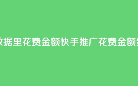 快手推广消耗数据里花费金额 - 快手推广花费金额统计数据。  第1张