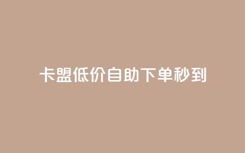 卡盟低价自助下单秒到 - 卡盟自助下单快速到账! 第1张 卡盟低价自助下单秒到 - 卡盟自助下单快速到账! 第1张