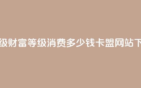抖音24级财富等级消费多少钱 - qq卡盟网站  第1张