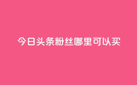 今日头条粉丝哪里可以买 - 在哪里可以购买今日头条粉丝？!  第1张