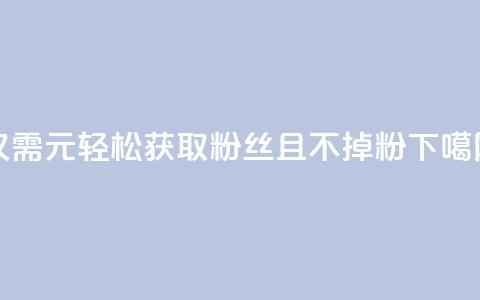 仅需1元轻松获取3000粉丝且不掉粉  第1张