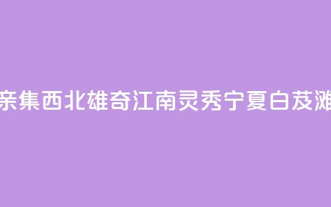 （铸牢共同体 中华一家亲）集西北雄奇、江南灵秀 宁夏白芨滩绘出治沙用沙新画卷  第1张