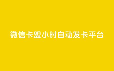 微信卡盟24小时自动发卡平台 - 微信卡盟：稳定发卡平台  24小时自动发卡	，快速、便捷的购卡体验。 第1张