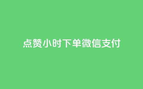 点赞24小时下单微信支付 - 24小时内轻松下单	，微信支付便捷无忧!  第1张