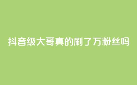 抖音60级大哥:真的刷了2000万粉丝吗? 第1张 抖音60级大哥:真的刷了2000万粉丝吗? 第1张