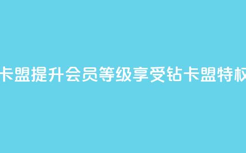 QQ会员钻卡盟 - 提升QQ会员等级	，享受钻卡盟特权!  第1张