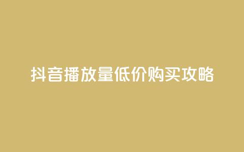 抖音播放量低价购买攻略  第1张