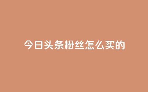 今日头条粉丝怎么买的,1元3万粉丝 - 快手点赞自助平台有 卡盟卡密使用教程 第1张 今日头条粉丝怎么买的,1元3万粉丝 - 快手点赞自助平台有 卡盟卡密使用教程 第1张