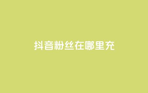 抖音粉丝在哪里充 - 如何在抖音平台给粉丝充值的详细指南! 第1张 抖音粉丝在哪里充 - 如何在抖音平台给粉丝充值的详细指南! 第1张
