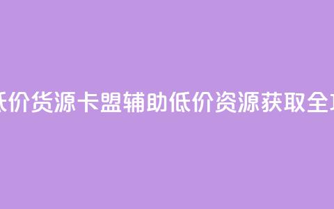 卡盟辅助低价货源 - 卡盟辅助低价资源获取全攻略。  第1张