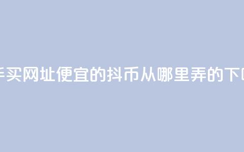 快手买call网址 - 便宜的抖币从哪里弄的  第1张