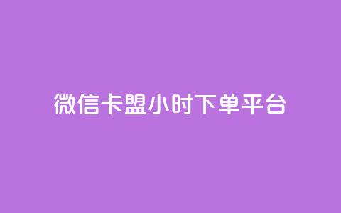 微信卡盟24小时下单平台 - 微信卡盟全天候下单平台介绍。  第1张