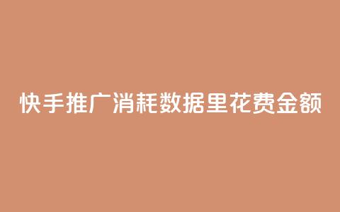 快手推广消耗数据里花费金额,小红书3000粉丝推广报价多少 - 拼多多低价助力 拼多多700元最后一个钻石  第1张
