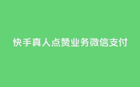 快手真人点赞业务微信支付 - 快手真人点赞业务微信支付优势详解~ 第1张 快手真人点赞业务微信支付 - 快手真人点赞业务微信支付优势详解~ 第1张