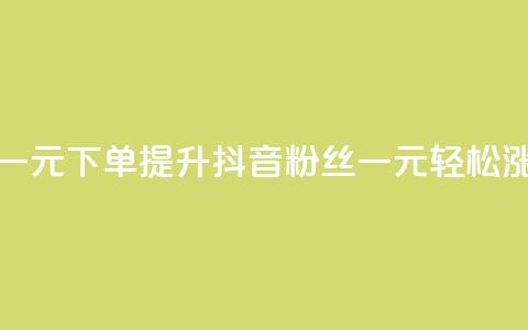 抖音涨粉一元下单(提升抖音粉丝，一元轻松涨粉)  第1张
