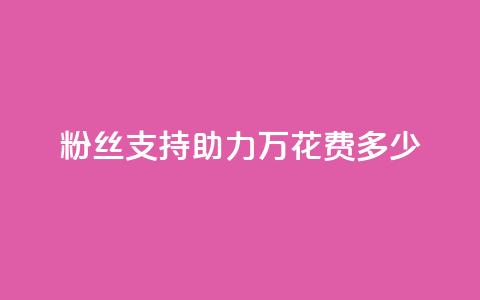 粉丝支持助力 100万	，花费多少？  第1张