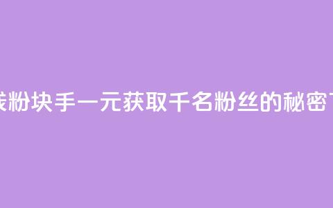 一块钱1000粉块手(一元获取千名粉丝的秘密)  第1张