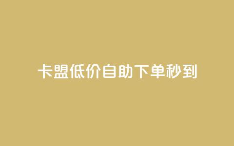 卡盟低价自助下单秒到 - 卡盟自助下单快速到账! 第1张 卡盟低价自助下单秒到 - 卡盟自助下单快速到账! 第1张