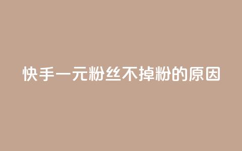 快手一元1w粉丝不掉粉的原因,qq浏览量怎么增多 - 免费增加qq空间访客量 抖音有效粉丝不够500怎么办  第1张