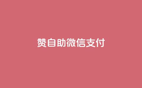 Ks赞自助微信支付,qq云商城的下单流程 - 拼多多0.01积分后面是什么 史密斯韦森CSX9  第1张