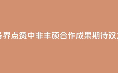 【中国那些事儿】非洲各界点赞中非丰硕合作成果 期待双方深化合作、携手共赢  第1张