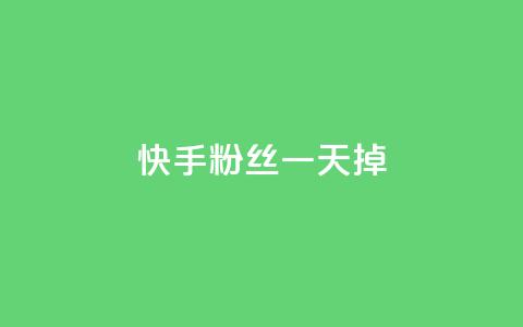 快手粉丝一天掉500 - 快手账户一天内粉丝骤减五百的原因分析~  第1张